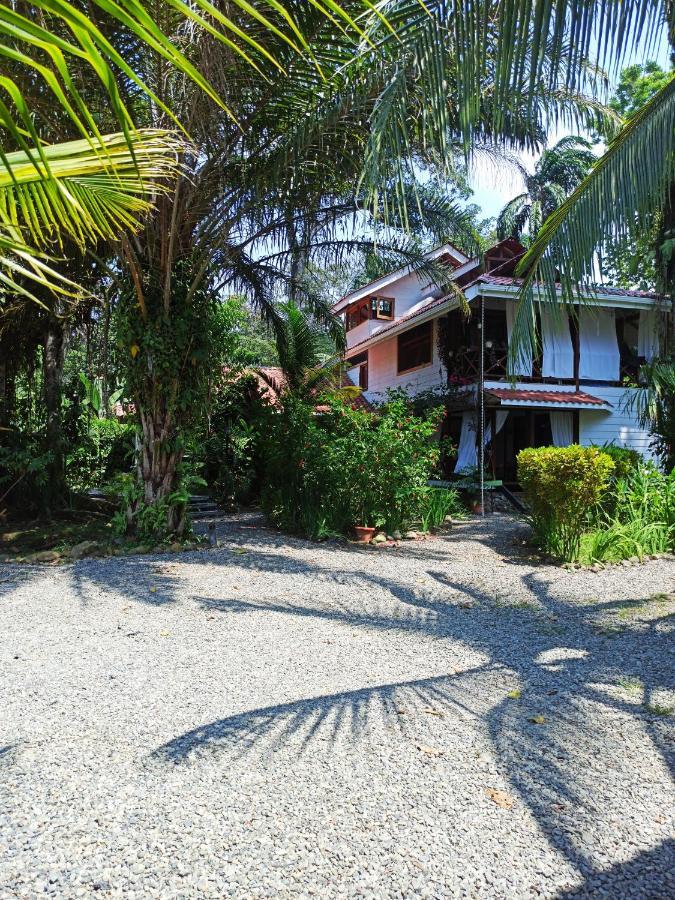 Chilamate Holiday House Apartamento Puerto Viejo de Talamanca Exterior foto